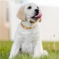 Pet Cat Repellent Collar Safe and non-toxic