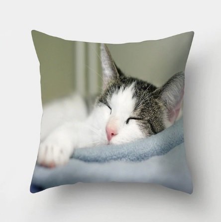 Cute Cat Decorative Cushion Cover