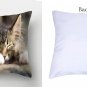 Cute Cat Decorative Cushion Cover