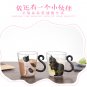250ml Cute Creative Cat Glass Coffee Tea Milk Water Mug with Cat Tail Handle