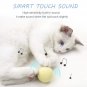 Smart Cat Interactive Ball Catnip Toy