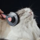 NEW! Pets Grooming Brush/Massage Brush with Self-Cleaning Needle Comb