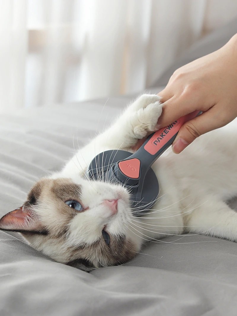 NEW! Pets Grooming Brush/Massage Brush cum Self-Cleaning Needle Comb