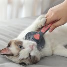 NEW! Pets Grooming Brush/Massage Brush cum Self-Cleaning Needle Comb