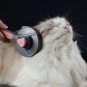 NEW! Pets Grooming Brush/Massage Brush cum Self-Cleaning Needle Comb