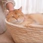 New Simple Japanese Style Woven Cat Nest Bed High Quality Rattan (Natural)
