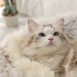 Long Plush Round Super Cosy Cushion Nest / Cat Bed