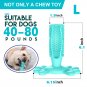Dog Chew Toy Toothbrush Teeth Cleaning Dog Toy Toothbrush 100% Natural Rubber!