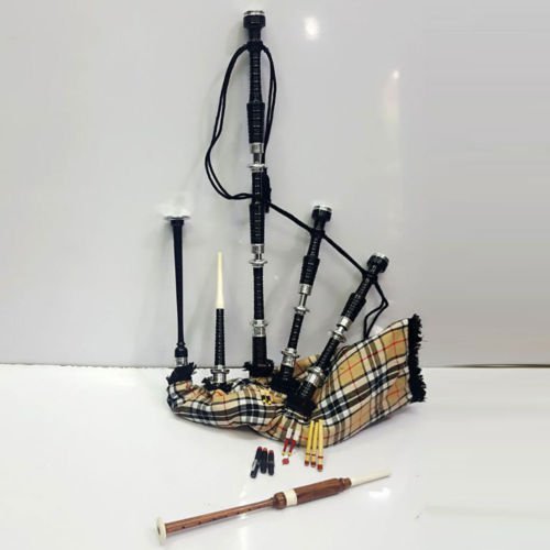 Scottish Great Highland Rosewood Bagpipe Campbell Of Thompson Tartan