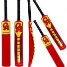 CRICKET soft ball BAT CA NJ-5000 Fiber Composite tennis ball bat with pack of 3 Balls CRICKET soft ball BAT CA NJ-5000 Fiber Composite tennis ball bat with pack of 3 Balls