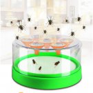 Reusable Clear Green Fly Catcher Flies Killer Attractants Included Bait Fly Trap