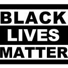 Black Lives Matter yard sign ***NO SHIPPING/DELIVERED ONLY IN HATFIELD MA**