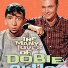 The Many Loves of Dobie Gillis: The Complete Series (DVD, 2013, 20-Disc Set)