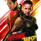 Ant-Man and The Wasp (DVD, 2018)