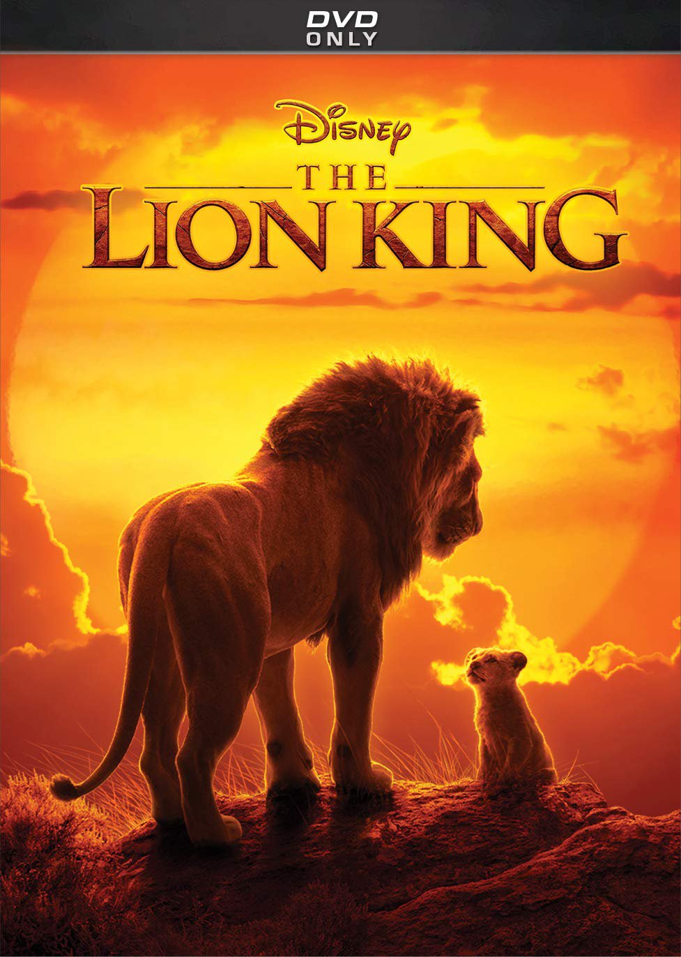 Lion King 2019 (Live Action) DVD Brand New