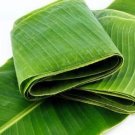 Banana Leaf