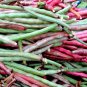 Top Pick Brown Crowder Cowpea Seeds | Southern Cow Pea Beans Vegetable Seed 2022