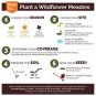 French Marigold PETITE MIX Double Dwarf Beneficial Heirloom Non-GMO 100 Seeds!