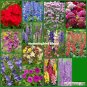 HUMMINGBIRD BLEND Wildflower Mix w/Perennials Heirloom Flowers Non-GMO 500 Seeds