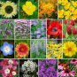 THE BEES KNEES Pollinator Flower Mix Heirloom 18 Species Non-GMO 2gr 500+ Seeds