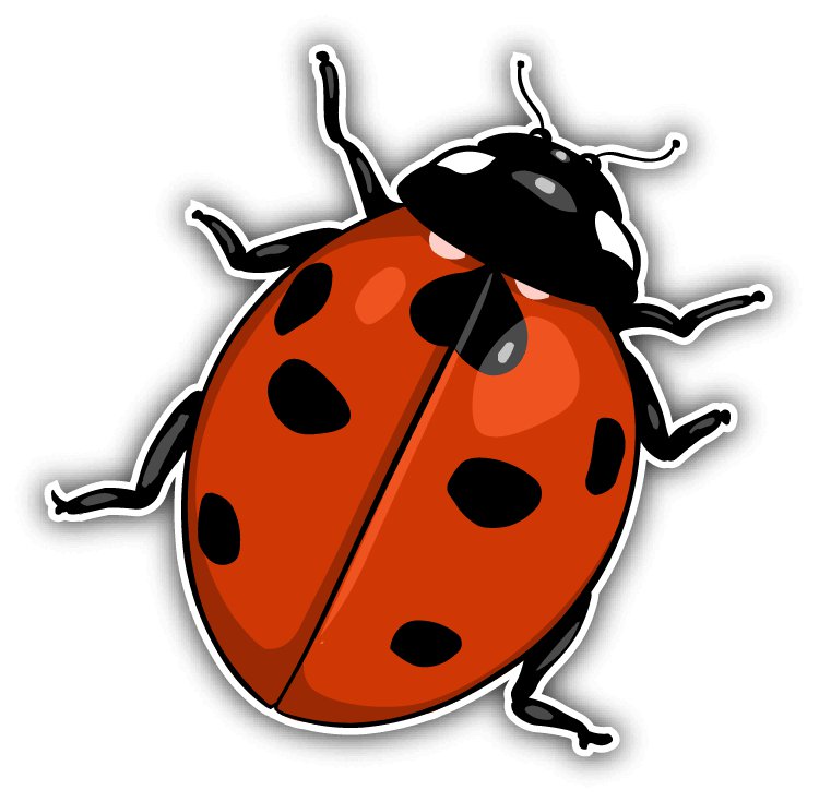 CRDesign Ladybug Vinyl Decal Sticker - 6 Year Outdoor Rated Car & Laptop Decal
