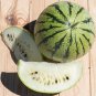 Cream Of Saskatchewan Watermelon Seeds | 3 Seeds | Non-GMO
