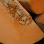 70 Day Cantaloupe! Heirloom NON-GMO 100+ seeds