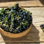 Wonderberry Heirloom Shrub {Solanum Burbankii} 50+ seeds