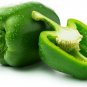 100 California Wonder Bell Pepper Seeds - Non-GMO, Heirloom