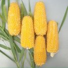 50 Seeds Mini Strawberry-Shaped Yellow Corn Seeds 50 Seeds Mini Strawberry-Shaped Yellow Corn Seeds