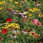 Midwestern Wildflower Seeds Mix, 19 Species Flowers, 400 Seeds, Garden or Meadow