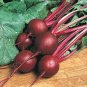 Ruby Queen Beet 60 Seeds, NON-GMO, Mild Buttery Beet, Heirloom