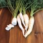 Snow White Carrot 300 Seeds, Beta-Carotene, Colorful