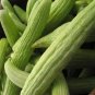 Armenian Cucumber 30 Seeds, Metki Pale, White Serpent, NON-GMO, Burpless
