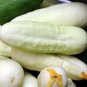White Wonder Cucumber 30 Seeds, Ivory King, White Albino, NON-GMO