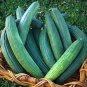 Armenian Yard Long Cucumber 30 Seeds, Metki Dark Green, NON-GMO, Snake Melon