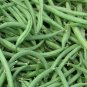 Burpee Stringless Green Bean Seeds, 15 Seeds or 1/4 OZ, NON-GMO