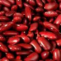 Dark Red Kidney Bush Bean Seeds, 65 Seeds or 1 OZ, Baked Beans and Chili, NON-GMO