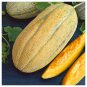 Banana Melon Seeds, 35 Seeds or 1 Gram, Banana Cantaloupe, Aromatic, NON-GMO