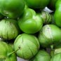 Grande Rio Verde Tomatillo, 50 Seeds, NON-GMO, Mexican Husk Tomato