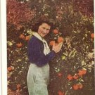 Florida Oranges