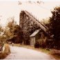 Bertrand Island Rollercoaster