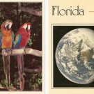 Lot of 2 Florida Postcards - Parrots & You are here!