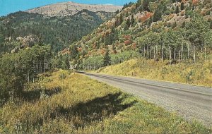 Snake River Canyon - Wyoming