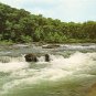 Youghiogheny River - Ohiopyle, PA