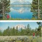 Lot of 2 - Mt. Moran - Grand Teton National Park - WY