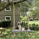 Tree Swing