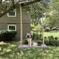Tree Swing