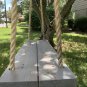 Tree Swing