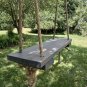 Tree Swing